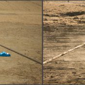 Tug of war competition at the HHMI Janelia Farm Research Campus. Ashburn, VA.